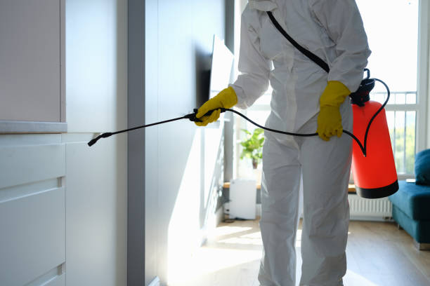 Best Emergency Mold Remediation in Mapleton, MN